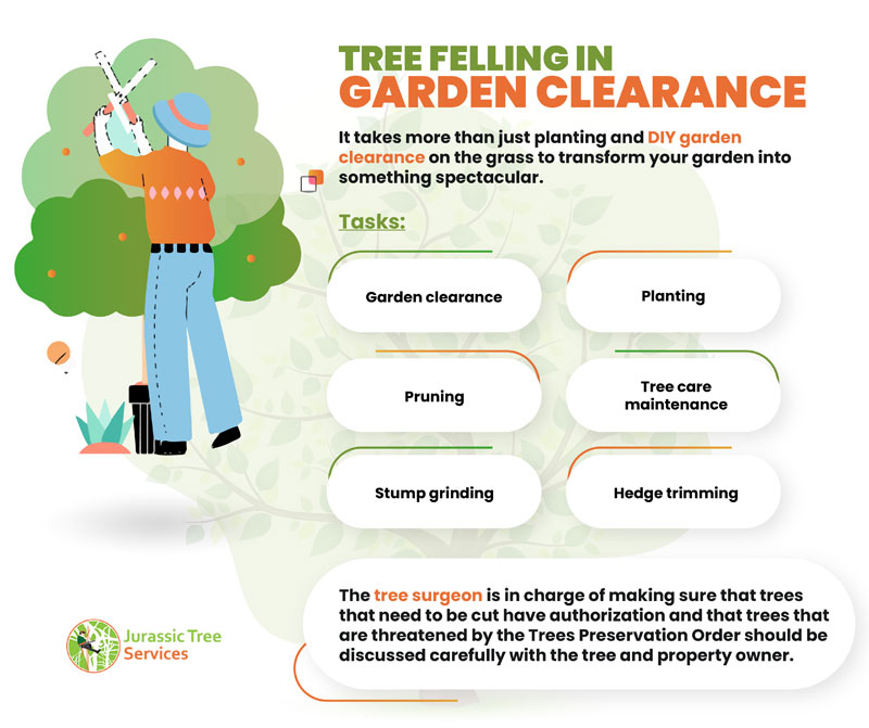 Garden Clearance in Exeter