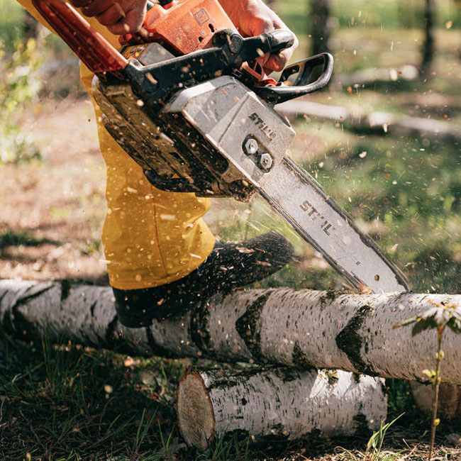 Garden Clearance in Exeter